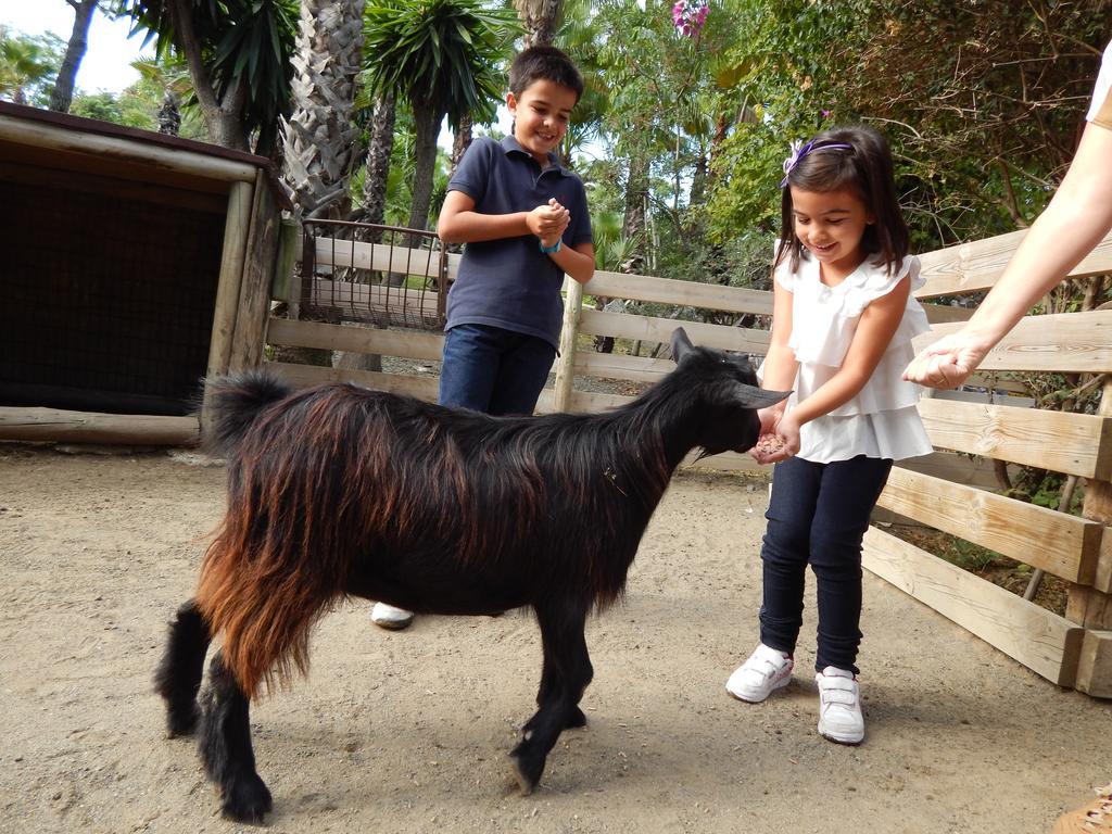 Hotel Selwo Lodge - Animal Park Tickets Included Estepona Exterior foto